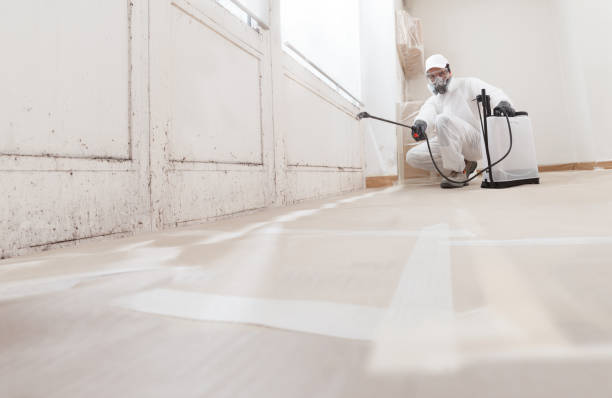 24/7 Emergency Mold Cleanup experts in Branchville, VA