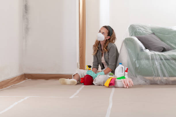 Reliable Mold Cleanup contractor in Branchville, VA by WQB Mold Removal